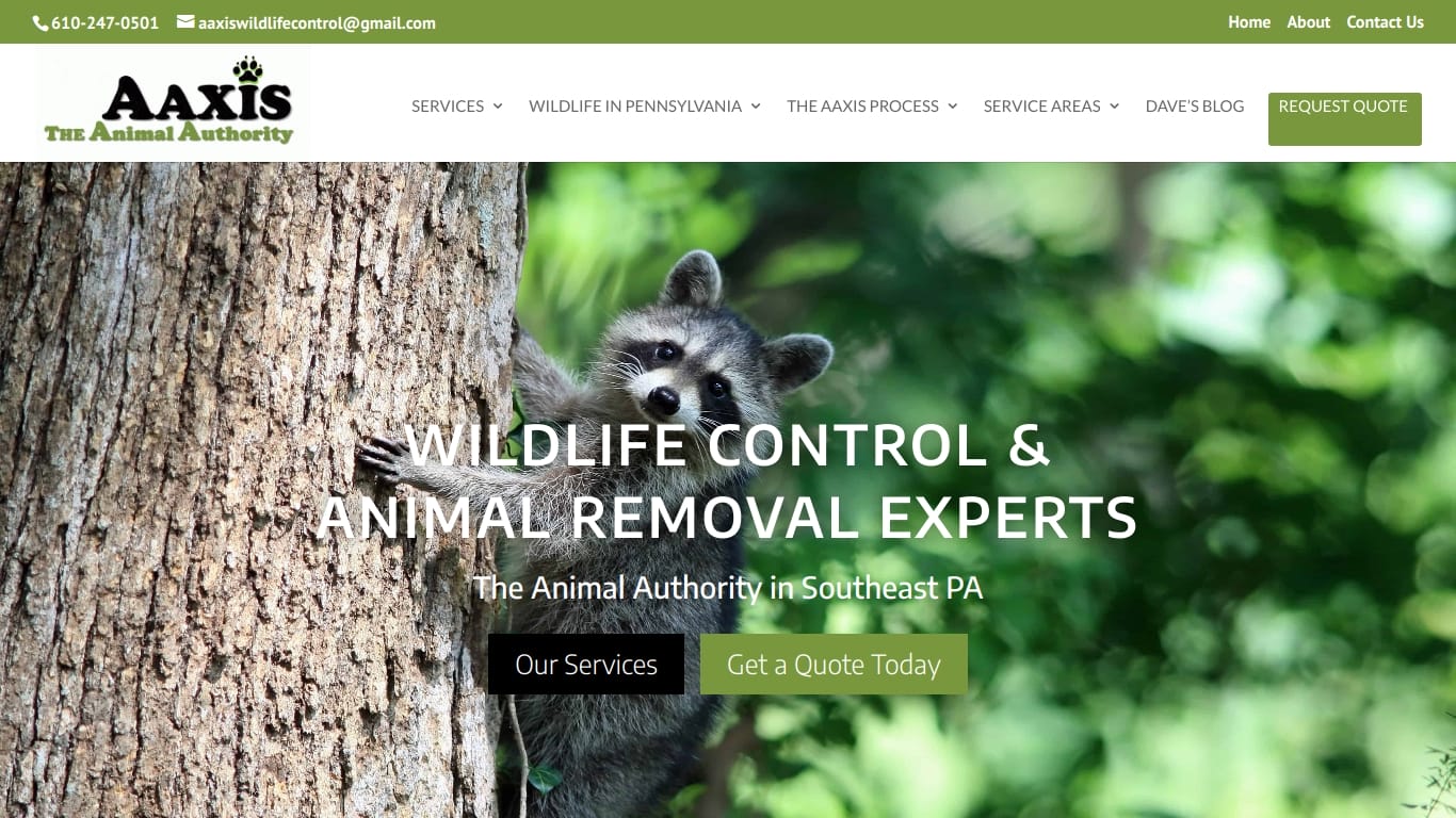 Website homepage for Aaxis Wildlife Control, featuring an image of a raccoon climbing a tree. The header includes the company's name and contact information, with menu options for services, wildlife in Pennsylvania, and more. Buttons for "Our Services" and "Get a Quote Today" are displayed.